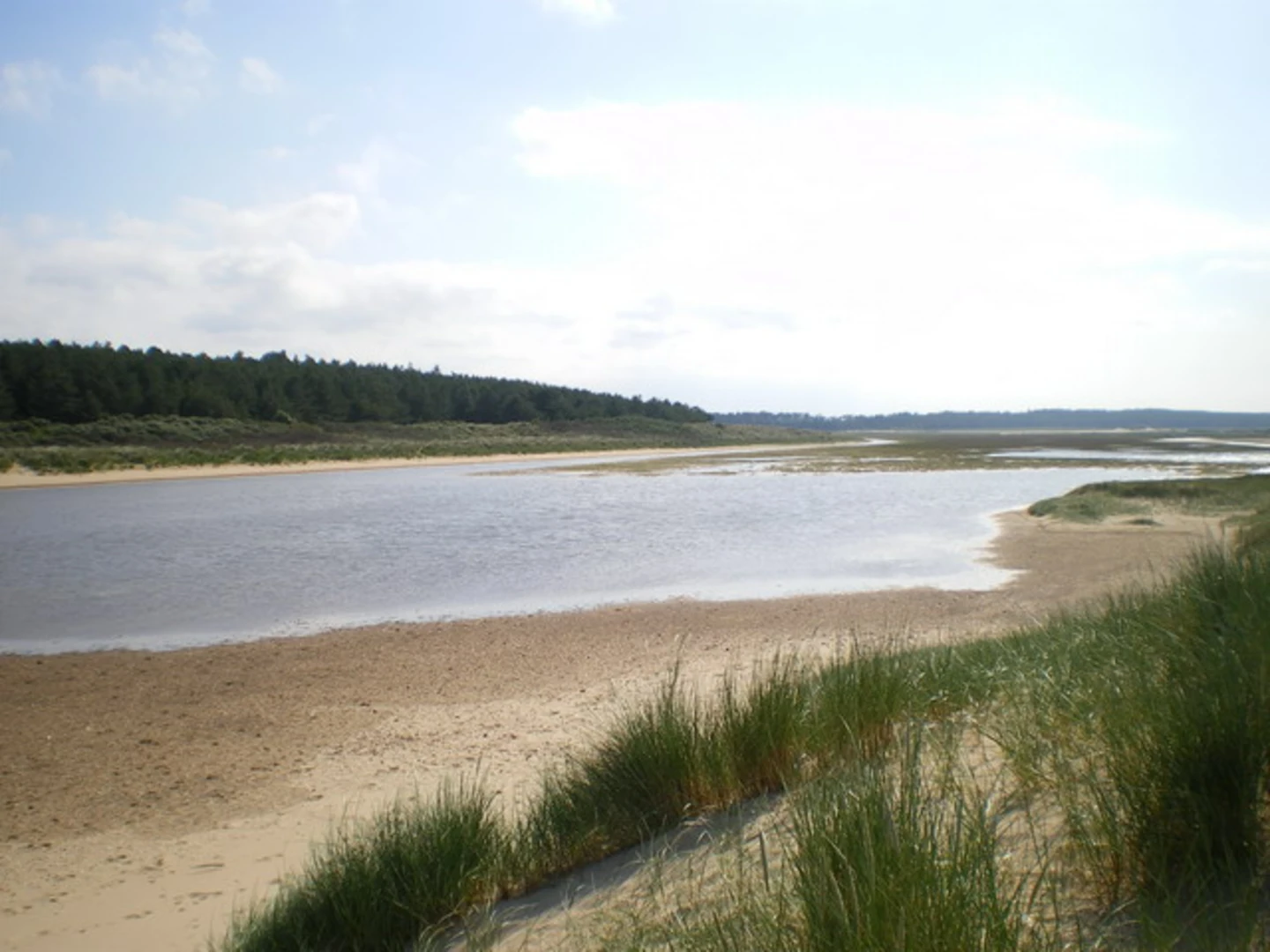 An image depicting the trail Wells next the Sea and Holkham Loop and its surrounding area.