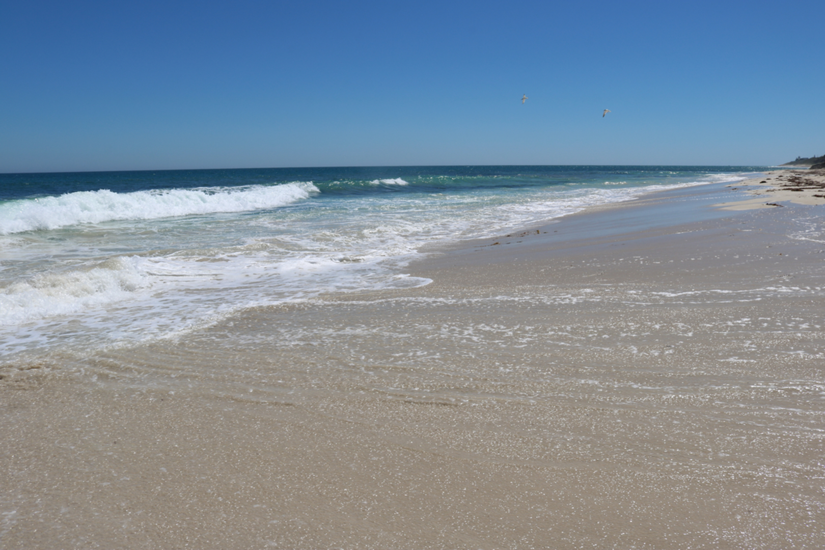An image depicting the trail Bush to Beach Trail and its surrounding area.