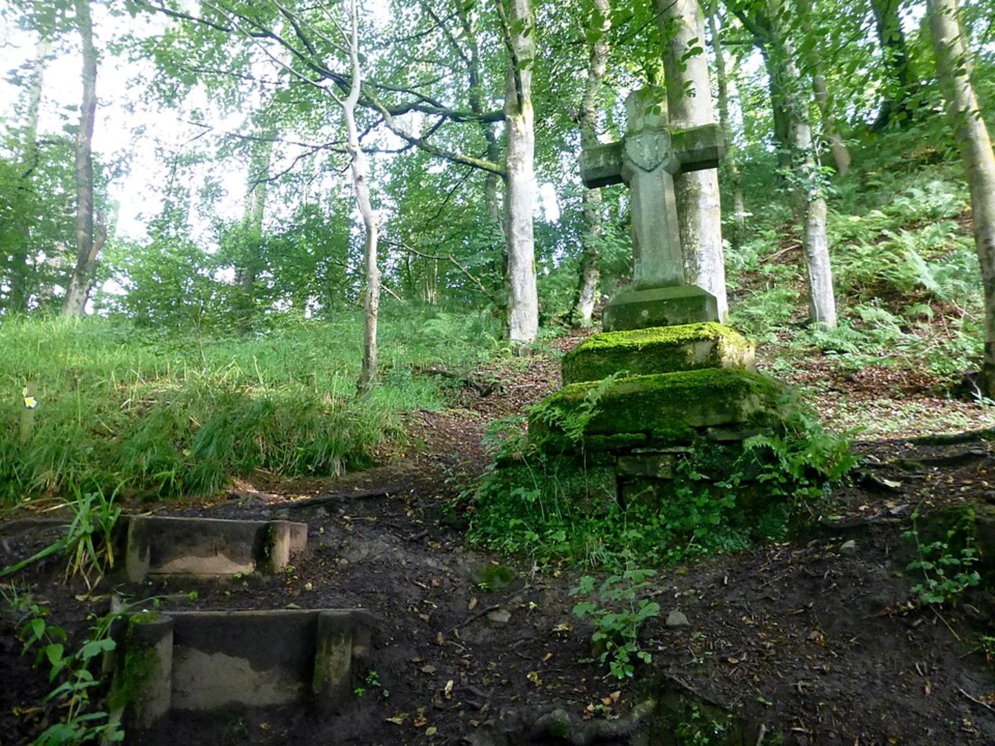An image depicting the trail Over Hacking Wood and Hurst Green via Ribble Way and its surrounding area.