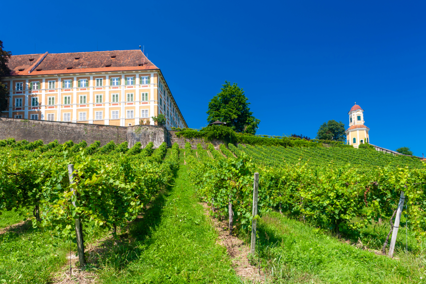 An image depicting the trail Rosenkogelweg and its surrounding area.