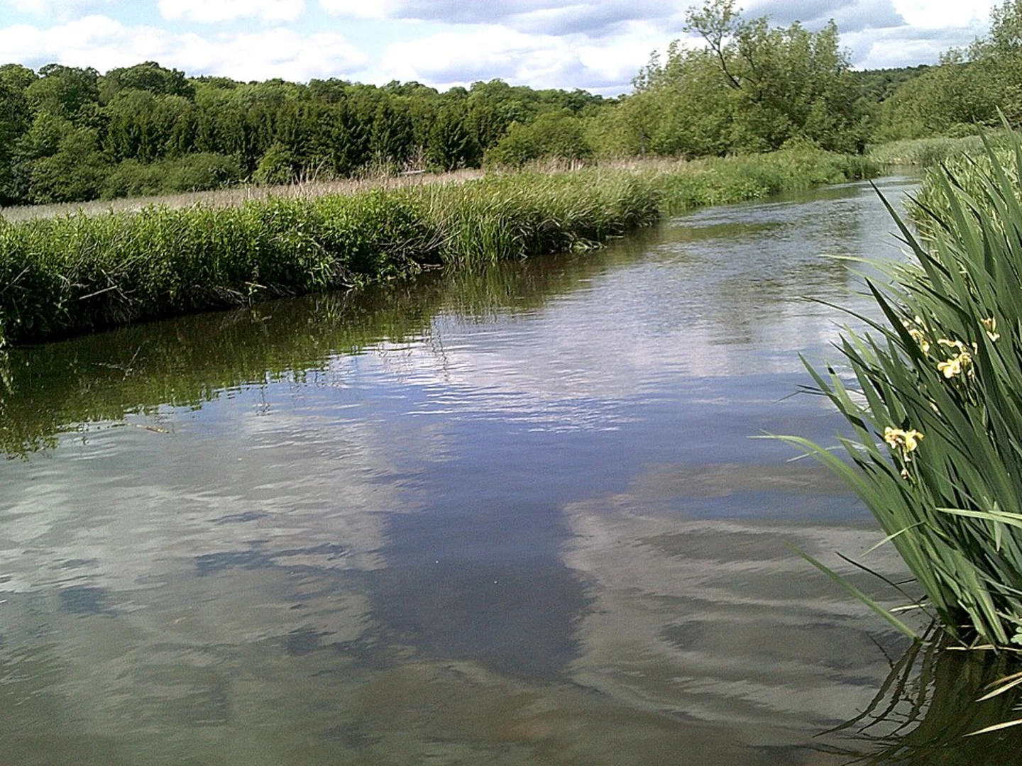 An image depicting the trail Sarratt Bottom Loop and its surrounding area.