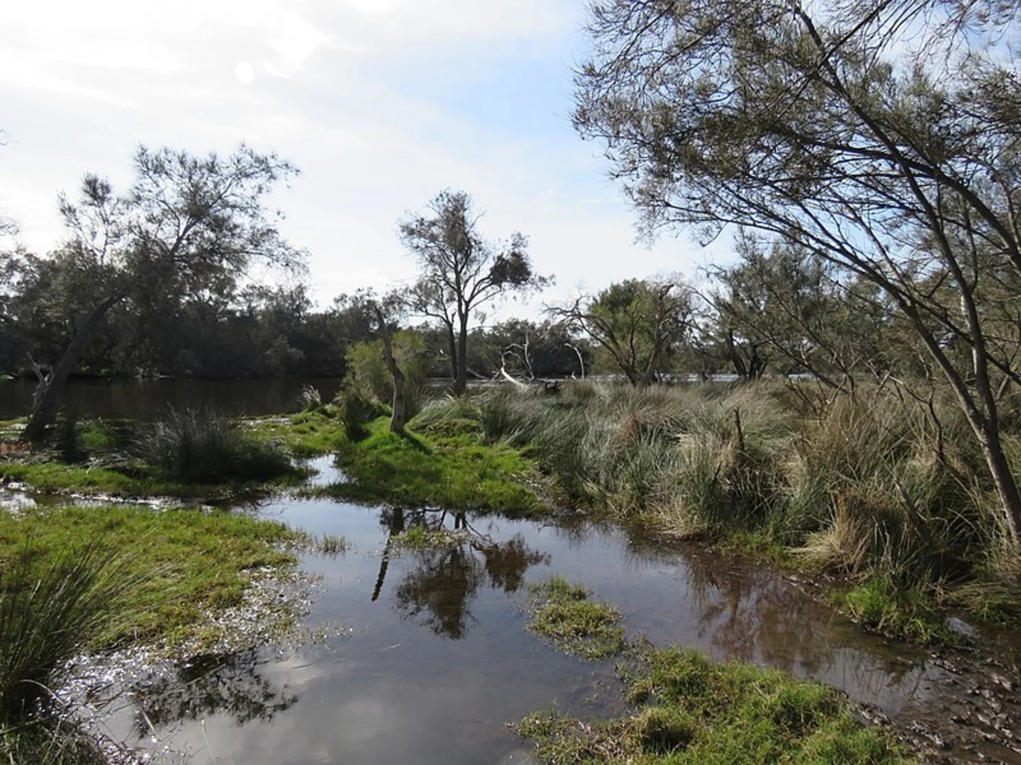 An image depicting the trail Banksia Hill Loop Trail and its surrounding area.