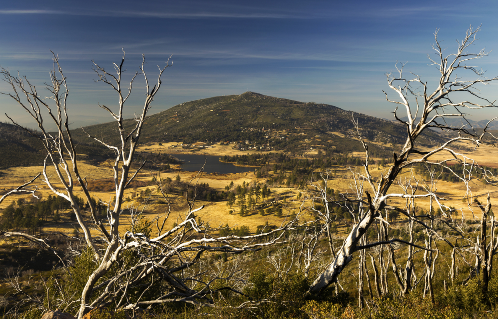 An image depicting the trail Cold Stream Trail and its surrounding area.