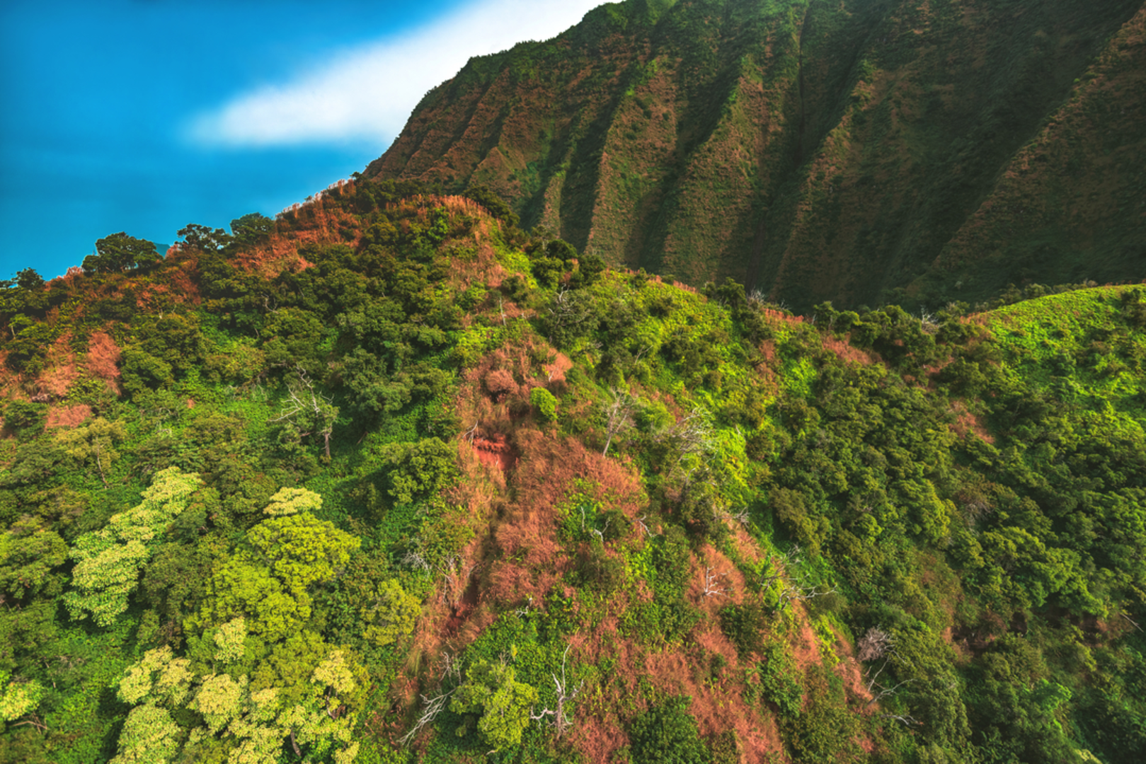 An image depicting the trail Honopu Ridge Trail and its surrounding area.