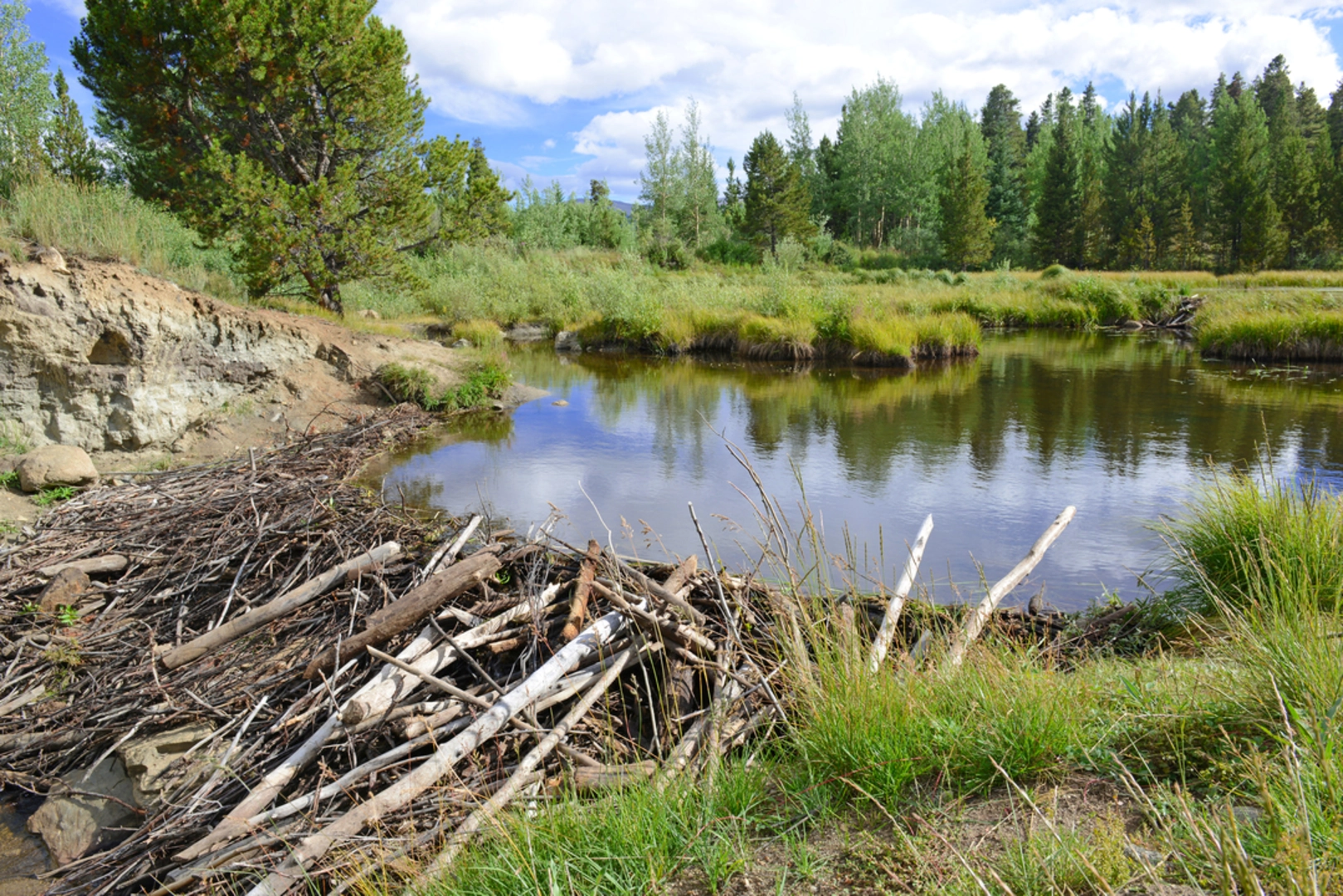 An image depicting the trail Gilley Lake Trail and its surrounding area.