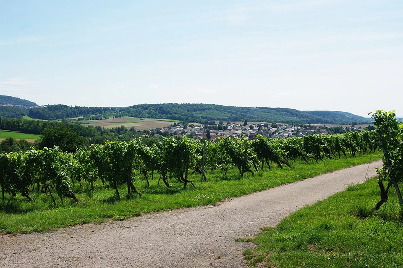 An image depicting the trail Schoener Berg Weg and its surrounding area.