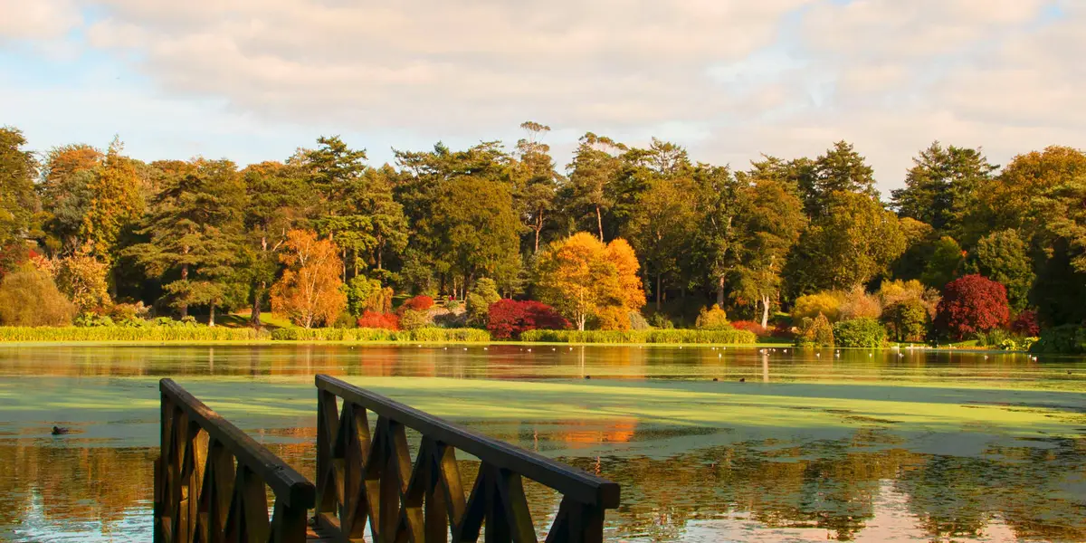 Mount Stewart – Yellow Trail