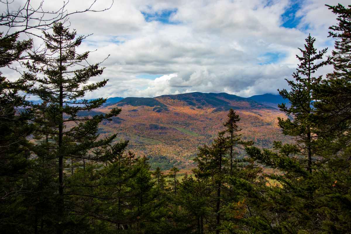 Puzzle Mountain via Grafton Loop Trail