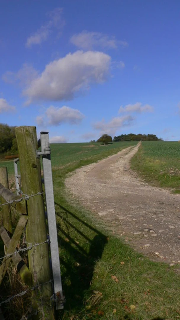 An image depicting the trail Compton Loop and its surrounding area.