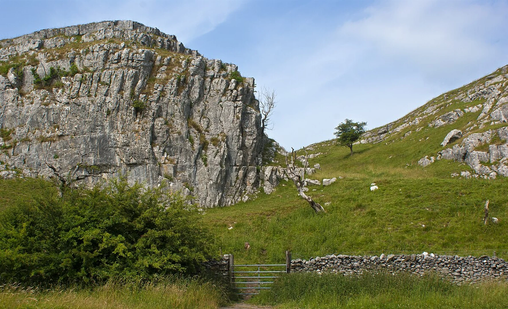 An image depicting the trail Langcliffe, Feizor and Settle Circular Walk via River Ribble and its surrounding area.