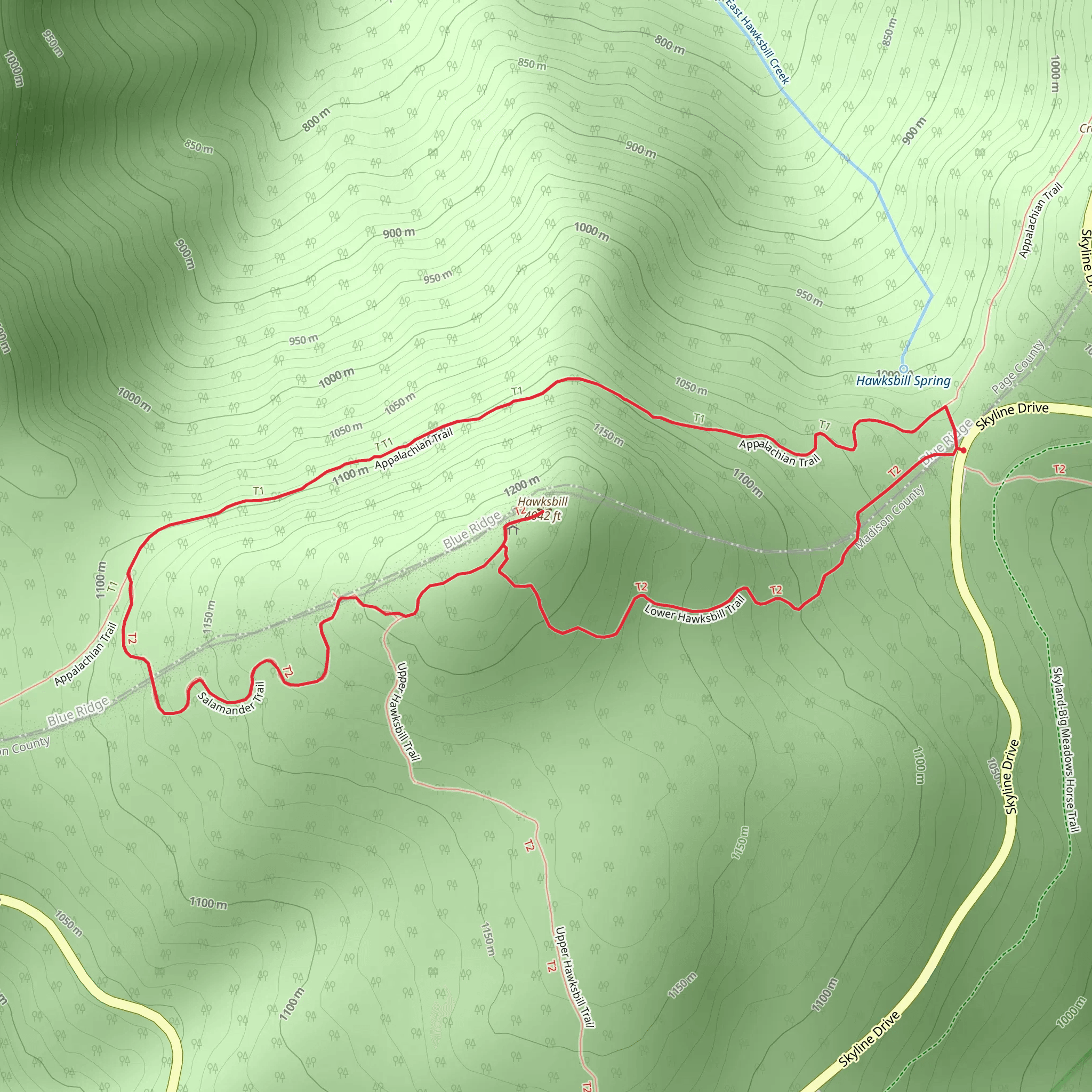 Hawksbill Loop mobile static map