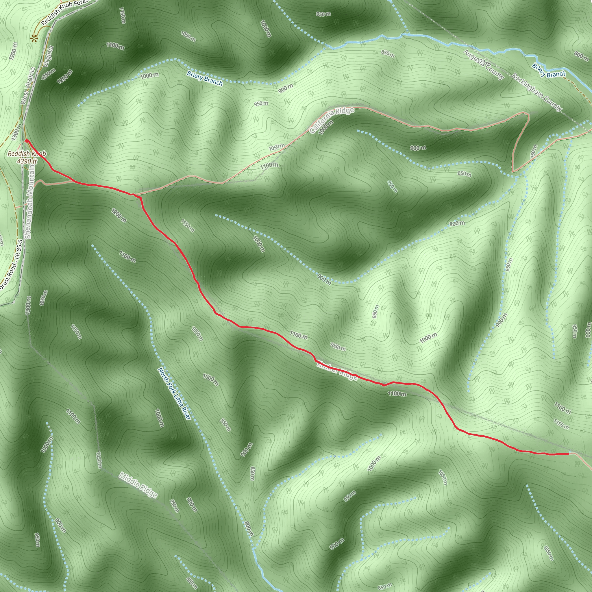 Timber Ridge Trail Out and Back mobile static map