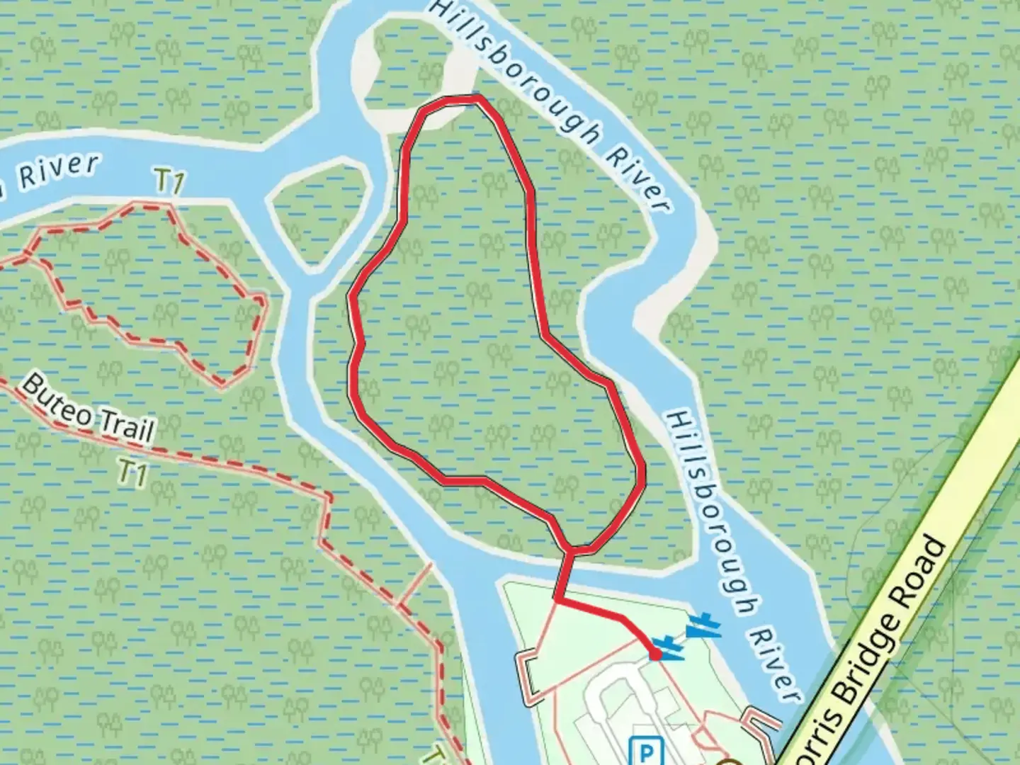 An image depicting the trail Morris Bridge Boardwalk Loop and its surrounding area.