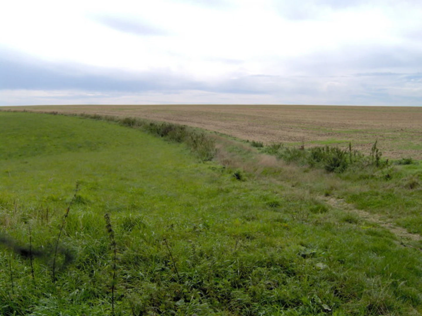 An image depicting the trail Liddington Hill Loop and its surrounding area.
