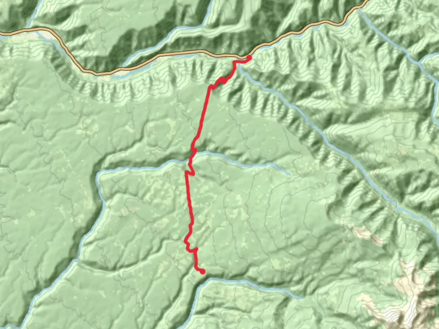 An image depicting the trail Morrison Trail and its surrounding area.