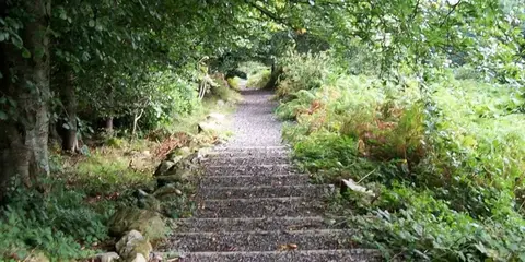 An image depicting the trail Granite Trail - Donard Loop and Bogie Line and its surrounding area.