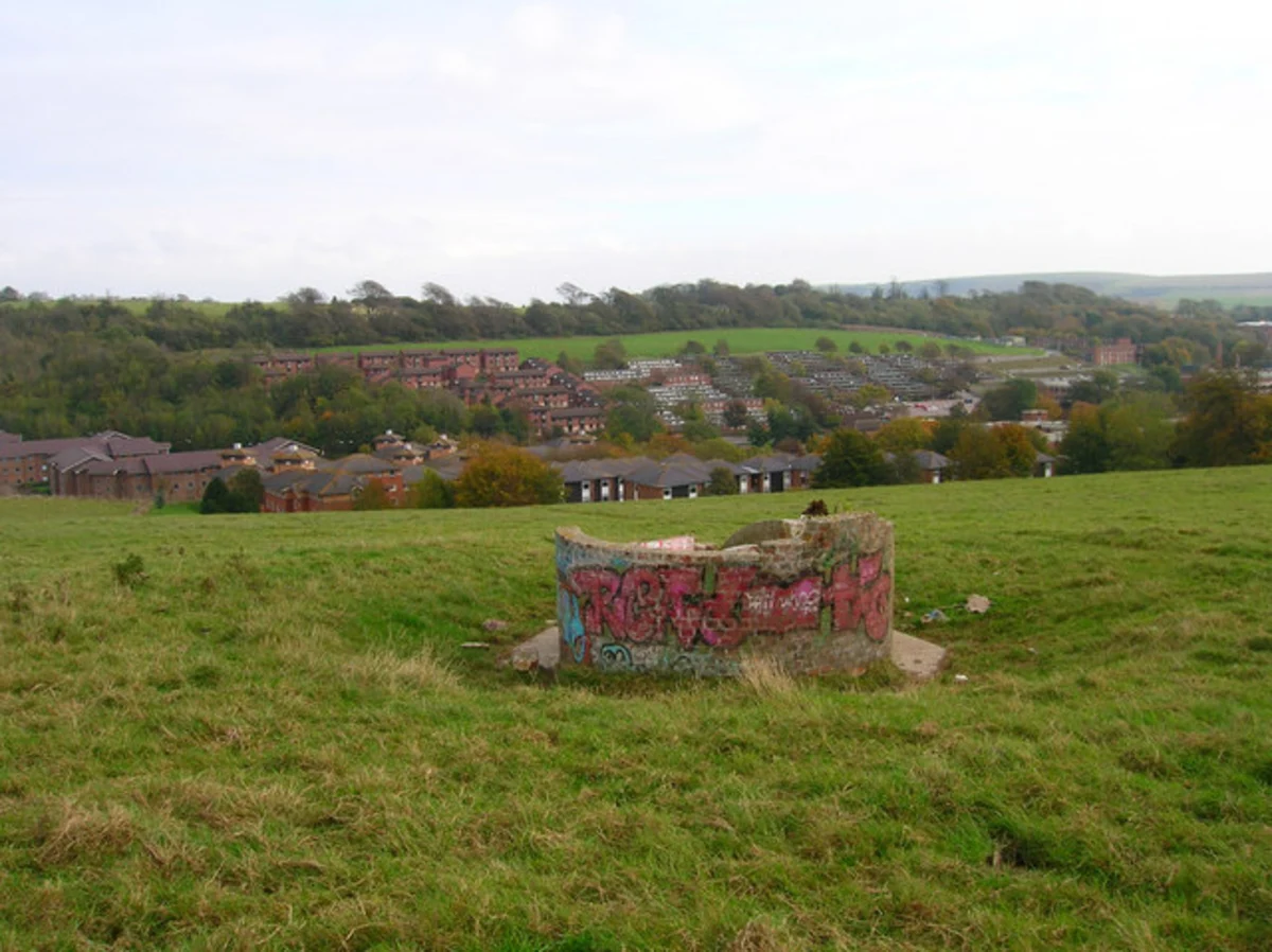 University of Sussex Loop