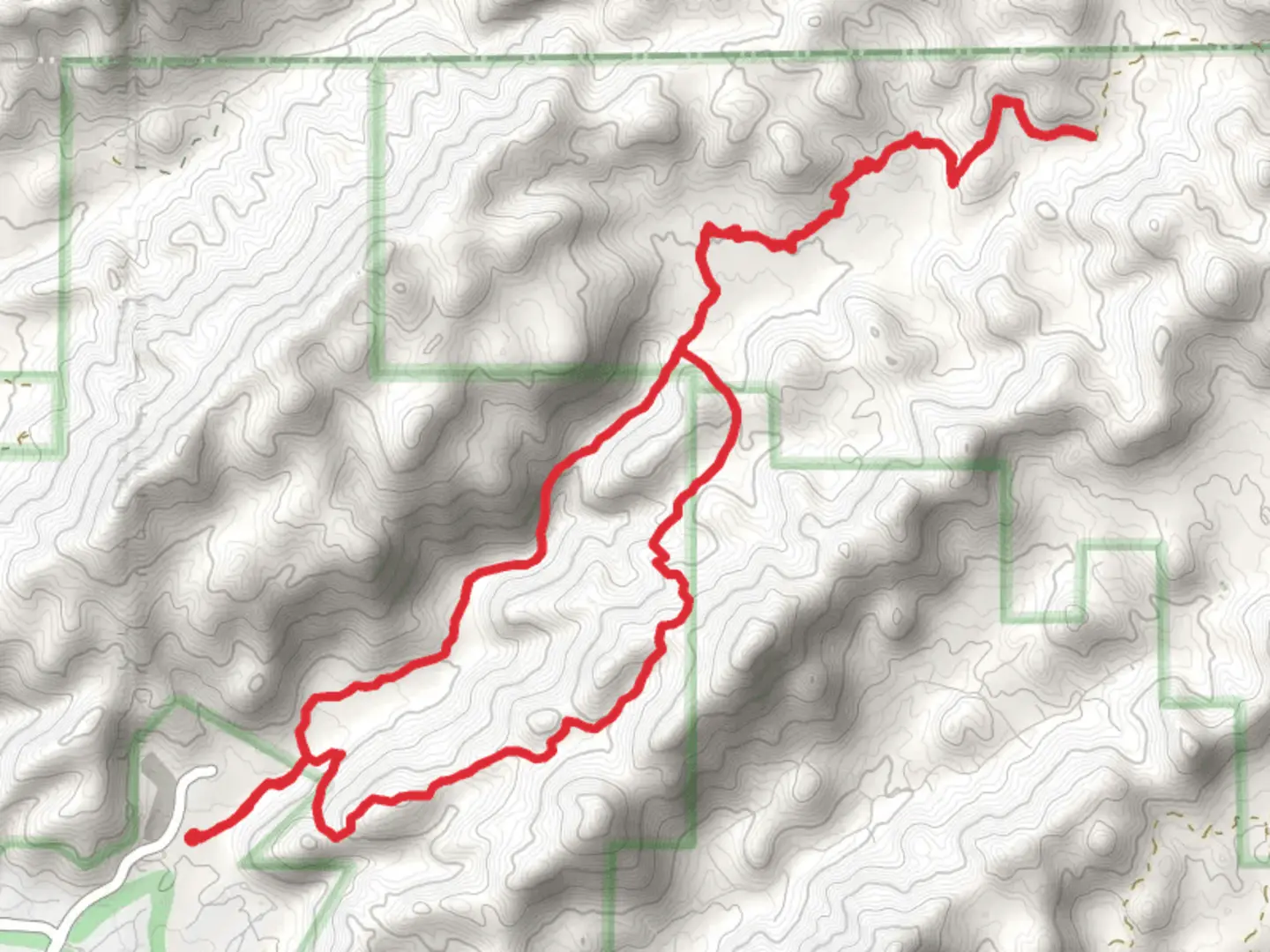 An image depicting the trail Wild Burro Trail and its surrounding area.