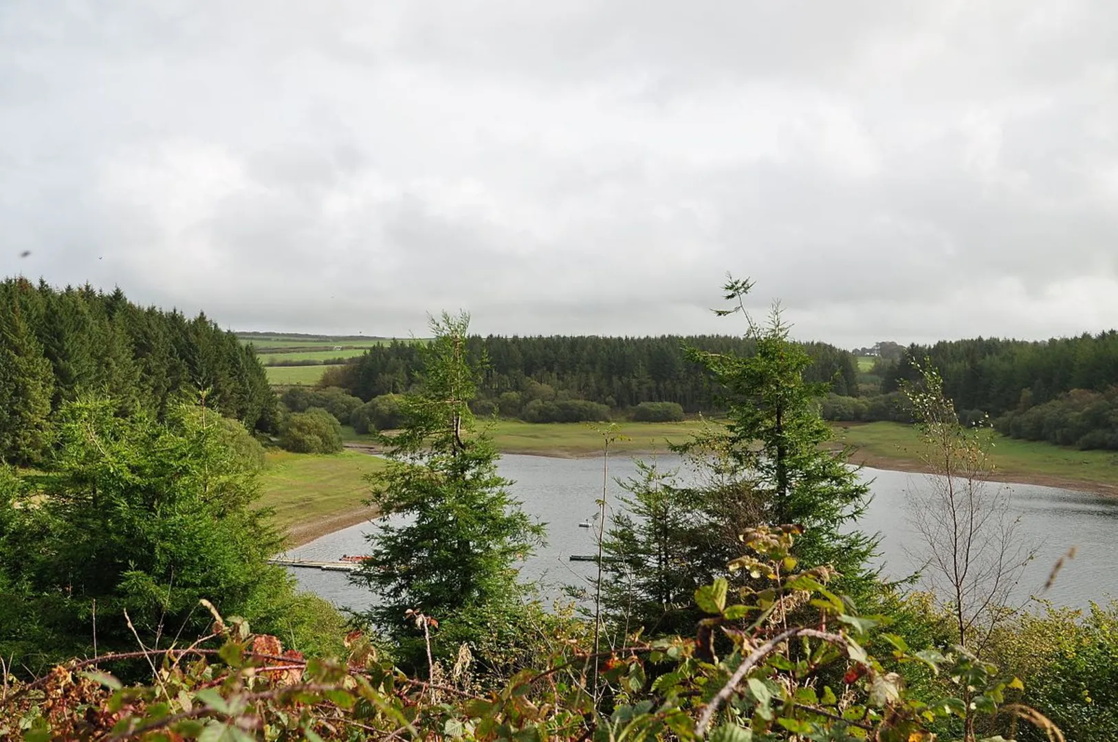 An image depicting the trail Wistlandpound Reservoir Loop and its surrounding area.