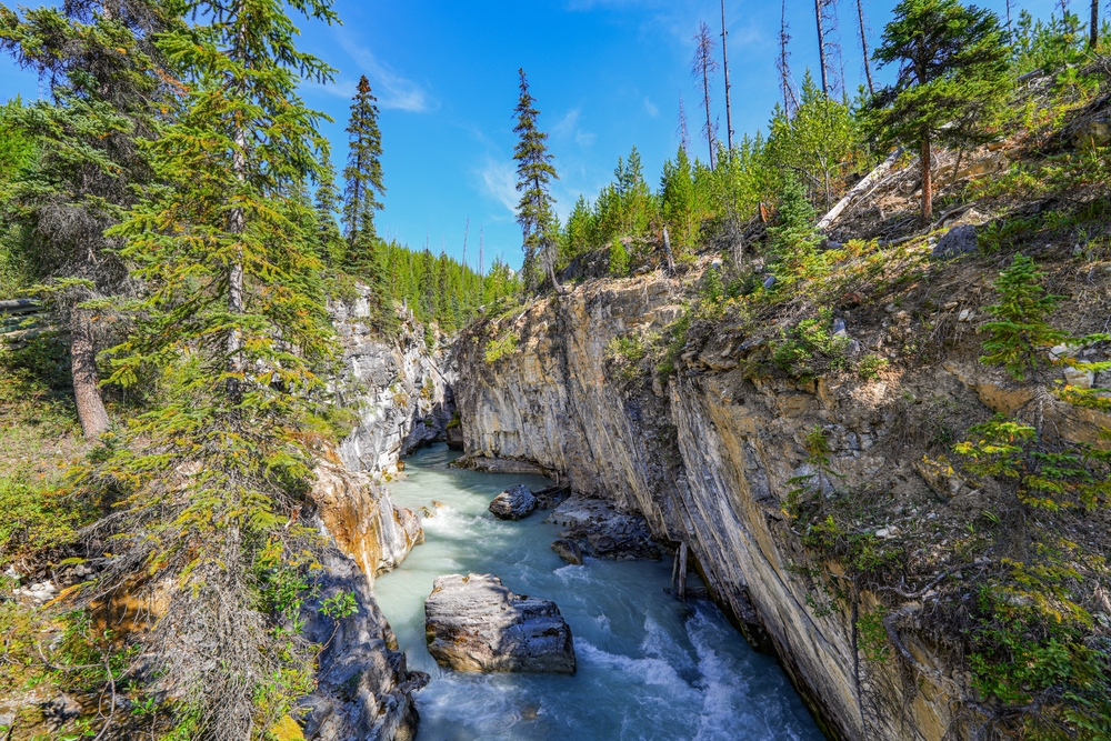 An image depicting the trail Kootenay National Park of Canada and its surrounding area.