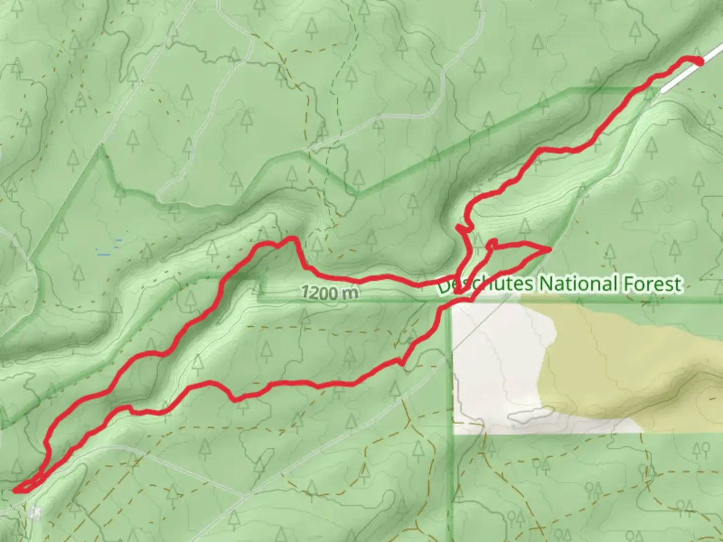 An image depicting the trail Whychus Creek Trail and Peterson Ridge Loop Trail and its surrounding area.