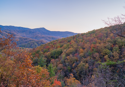 An image depicting the trail Sugarland Mountain Trail and its surrounding area.