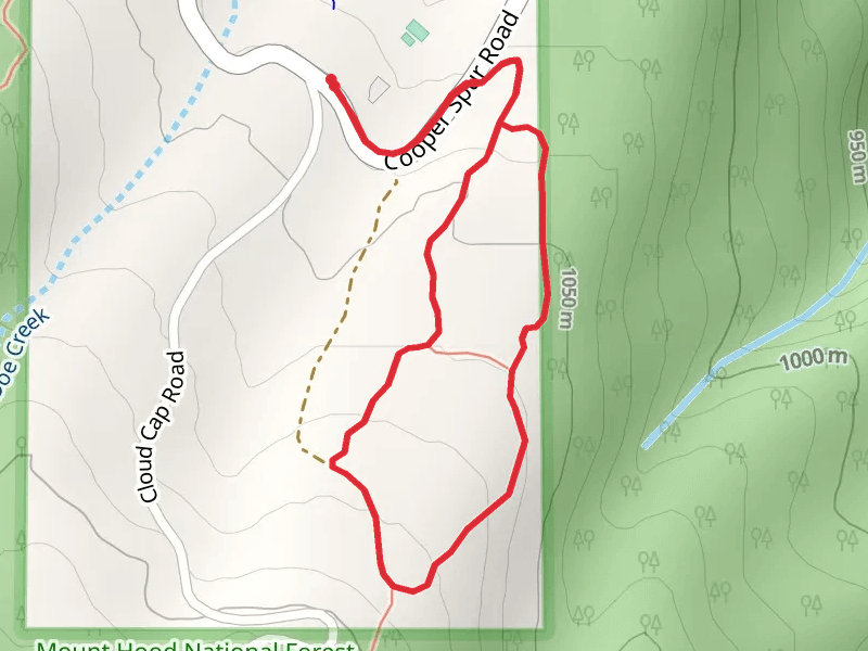 Cooper Spur Road Loop