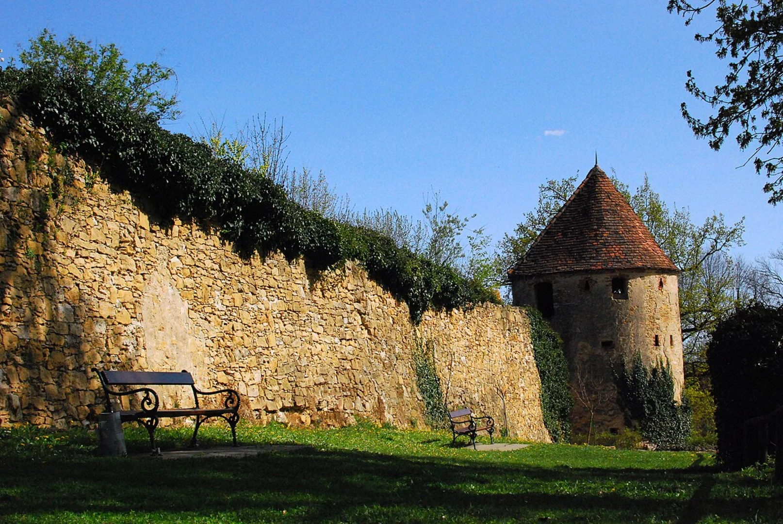 An image depicting the trail Schöndorf and Osburger Wald Loop and its surrounding area.