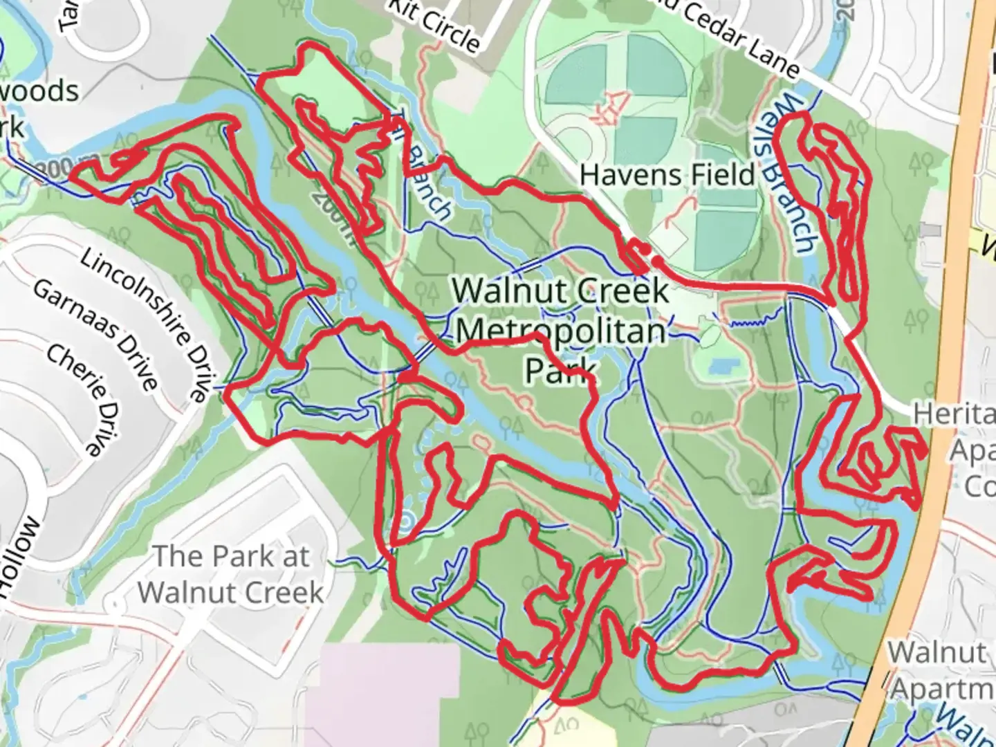 An image depicting the trail Kidney Buster, Hill of Despair and Windy Loop Trail and its surrounding area.