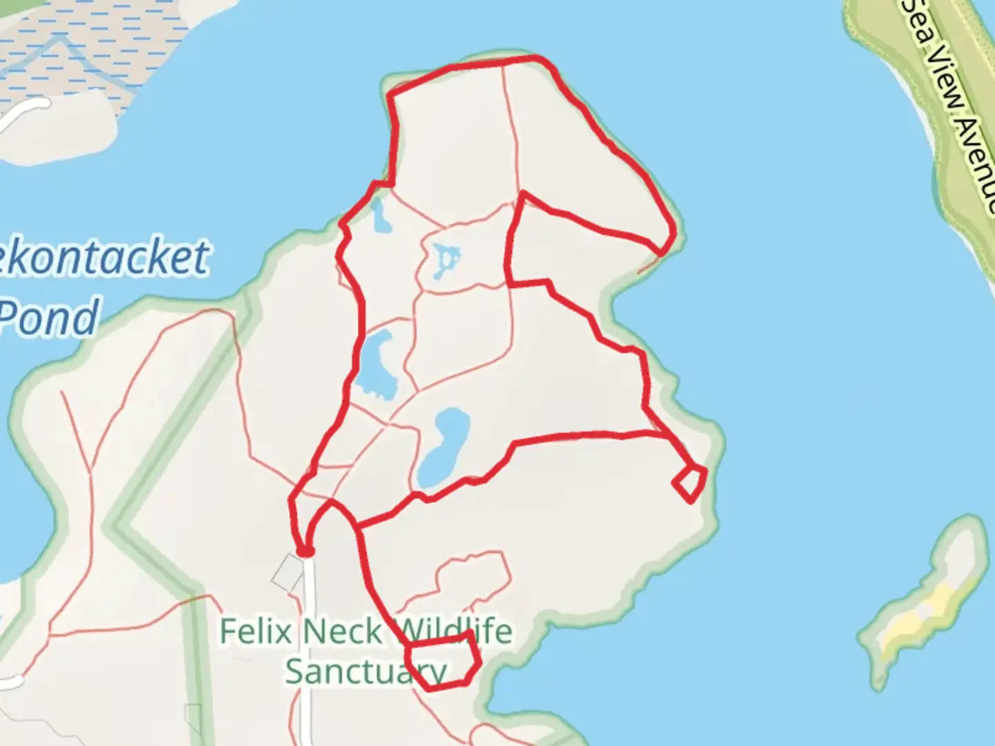 An image depicting the trail Sengekontacket Pond via Mash Trail and Shad Trail and its surrounding area.