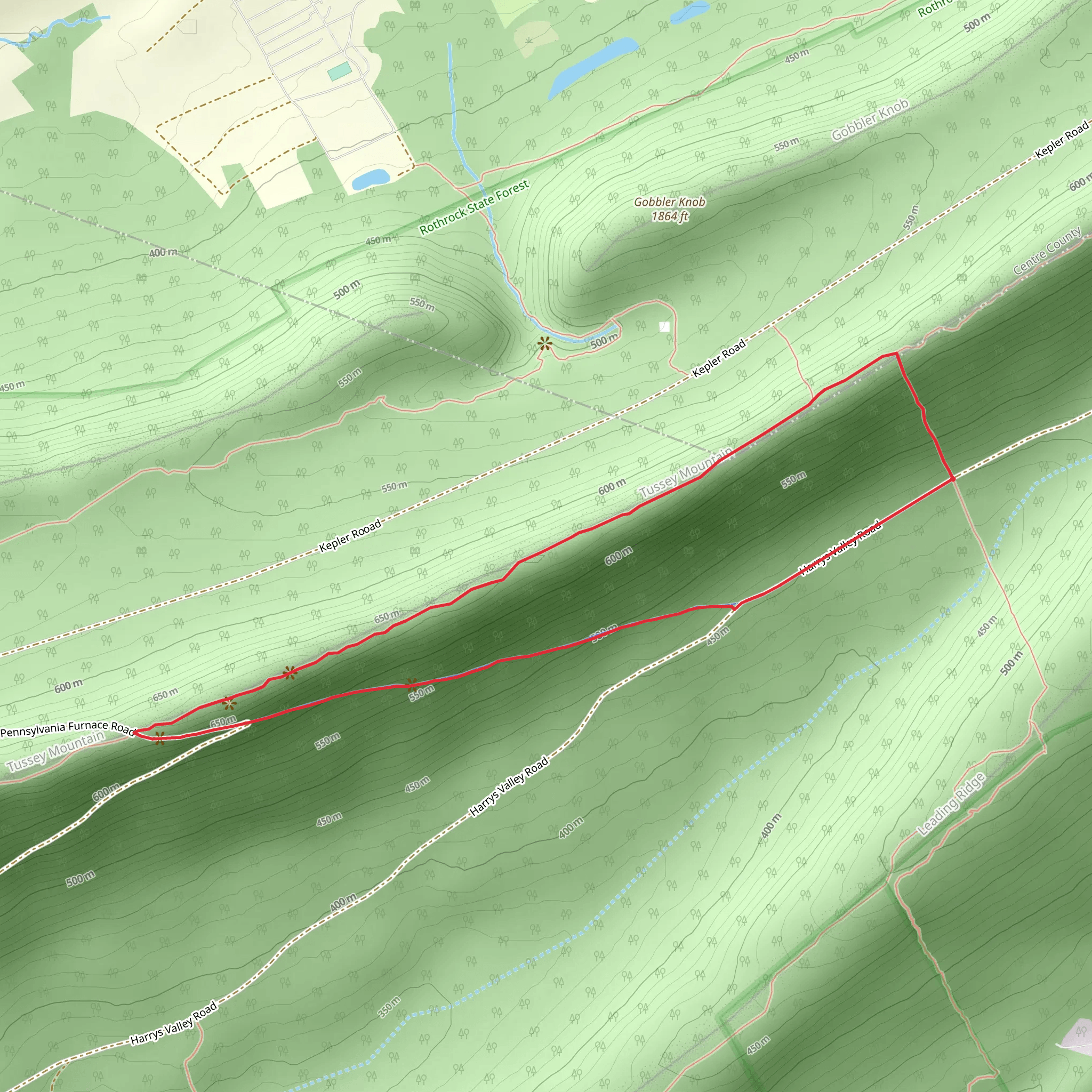 Ruby Ridge Hiking Loop Trail mobile static map