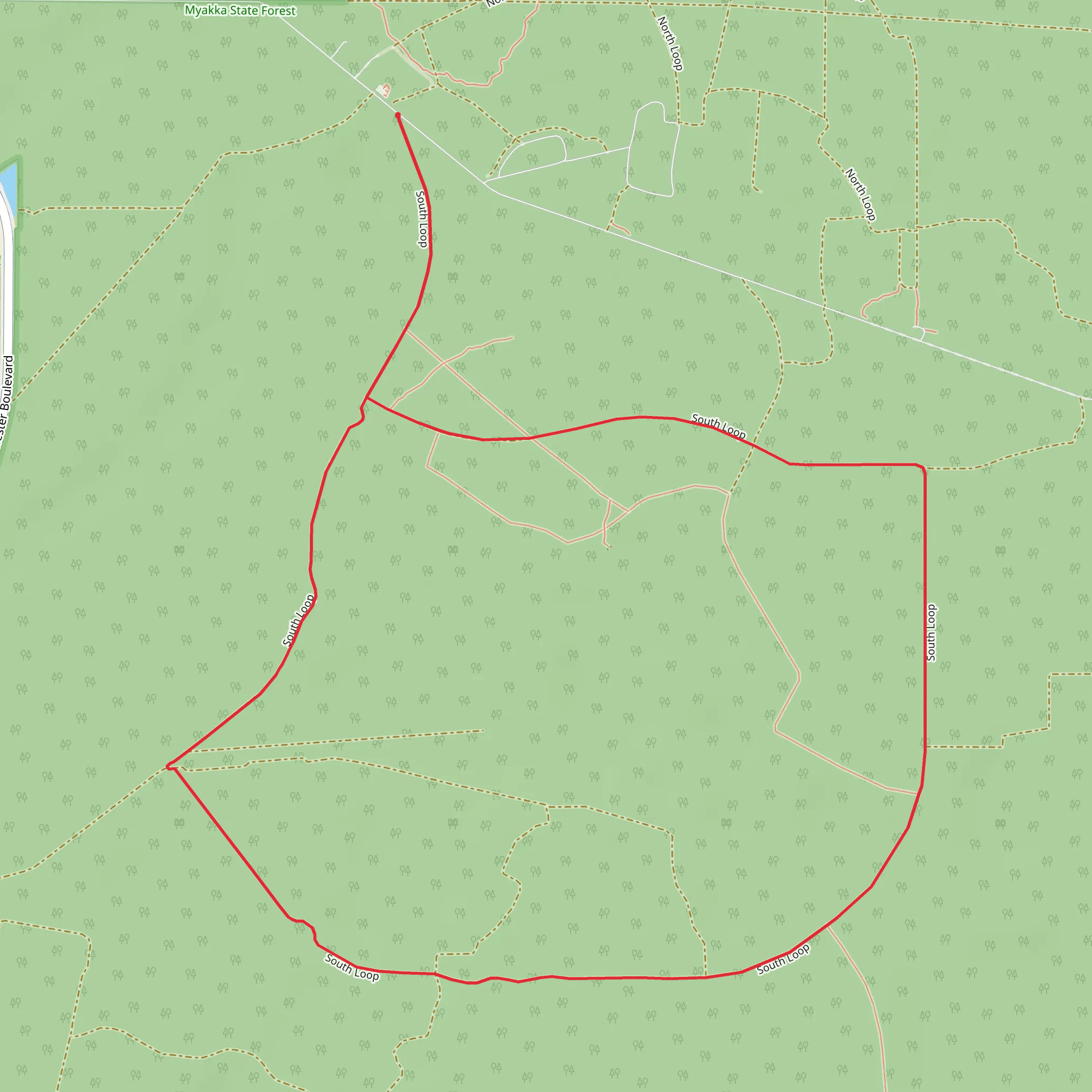 Myakka State Forest Loop mobile static map
