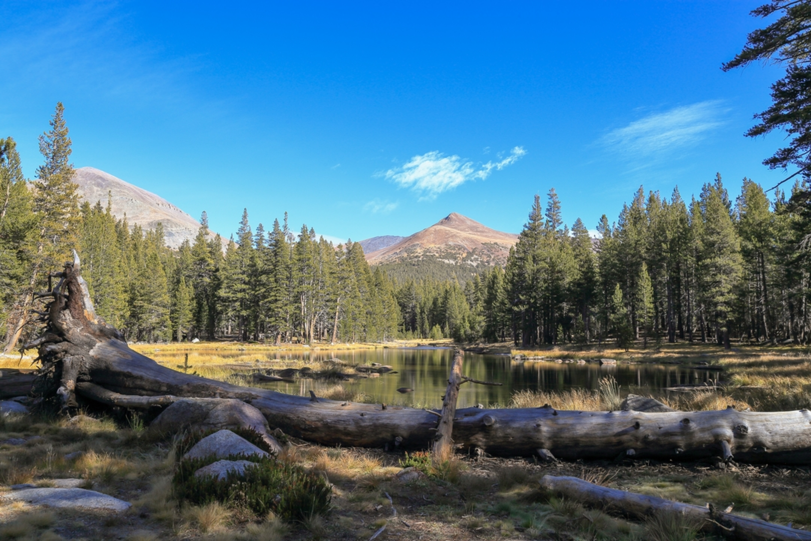 An image depicting the trail Gibbs Lake Trail and its surrounding area.