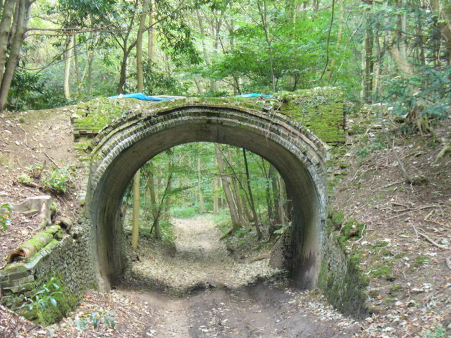 An image depicting the trail Dogkennel Green Loop and its surrounding area.