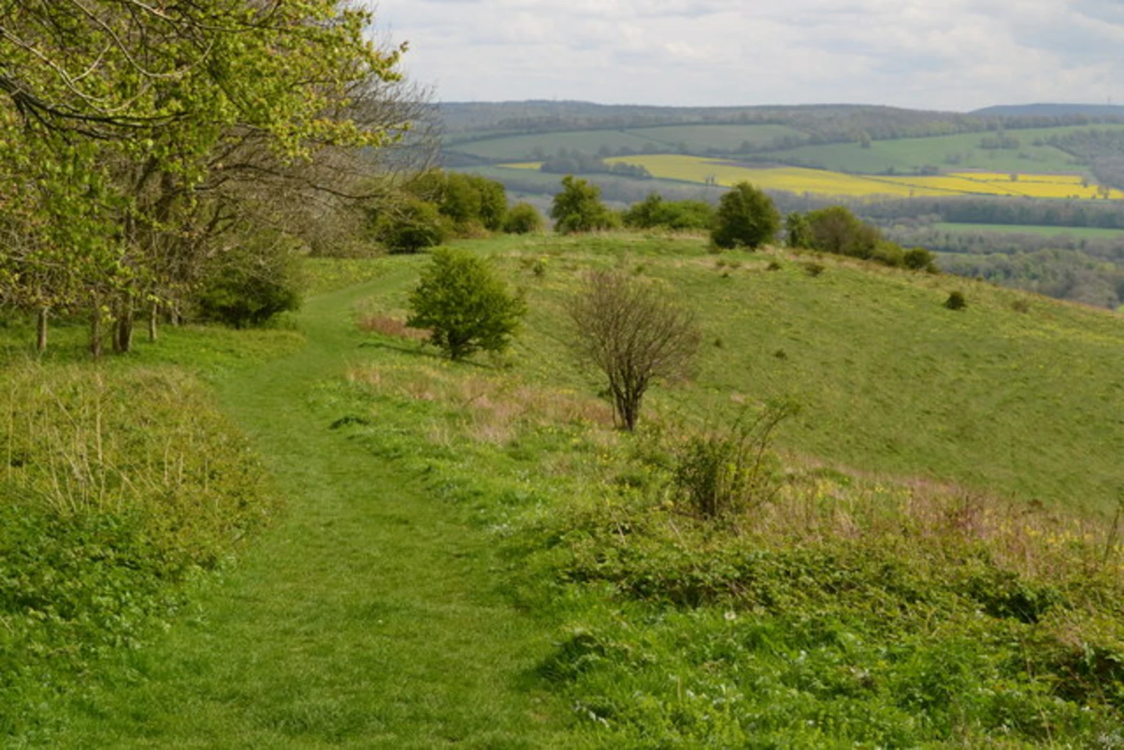 An image depicting the trail Exton Loop via Beacon Hill and its surrounding area.