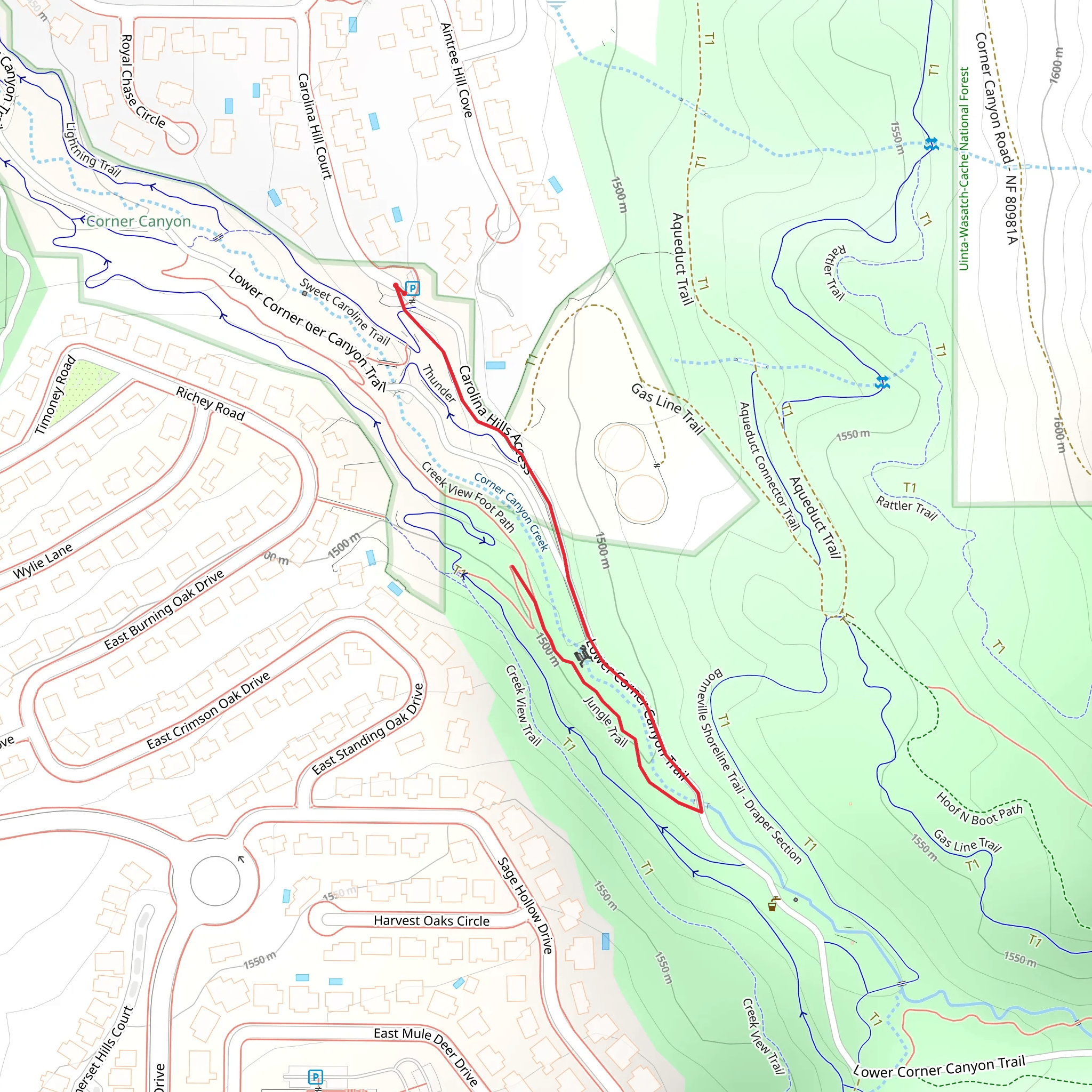 Jungle Trail mobile static map