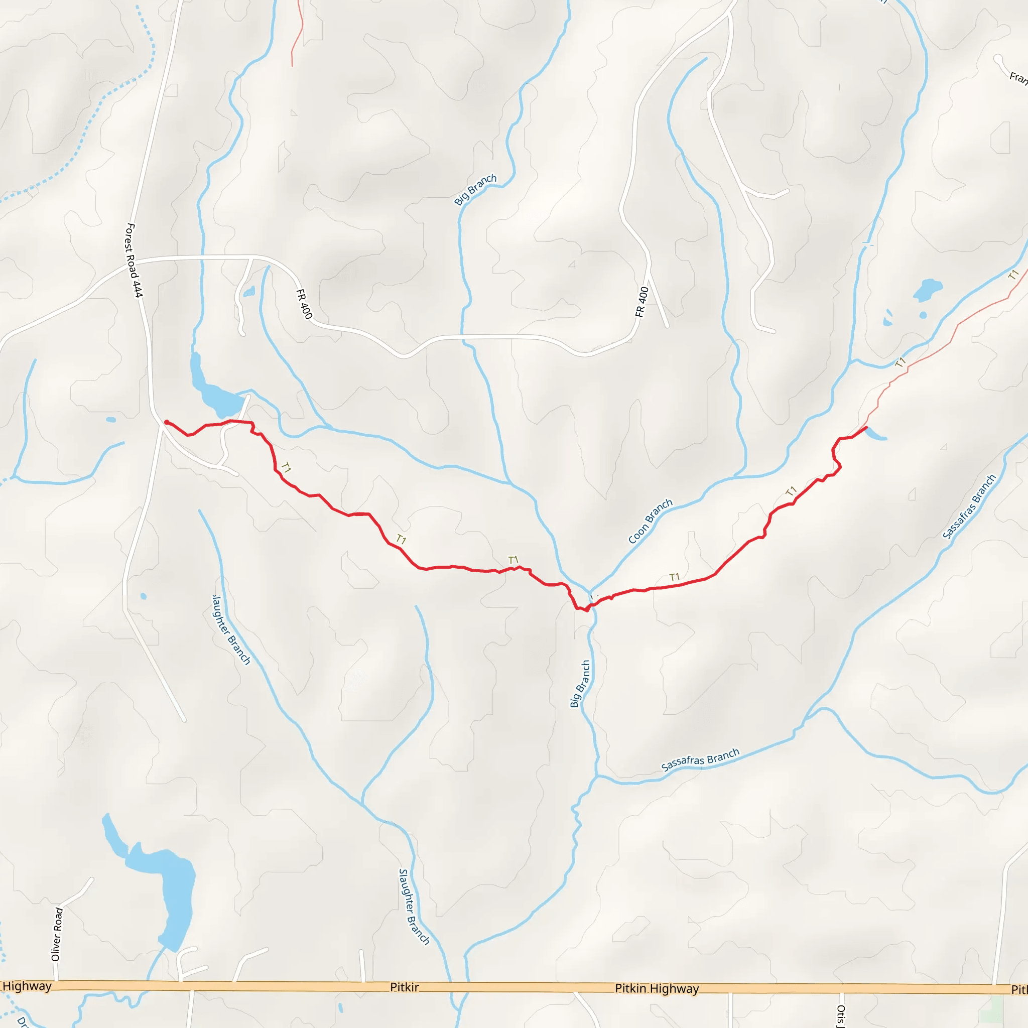 Big Branch Trail Out and Back mobile static map