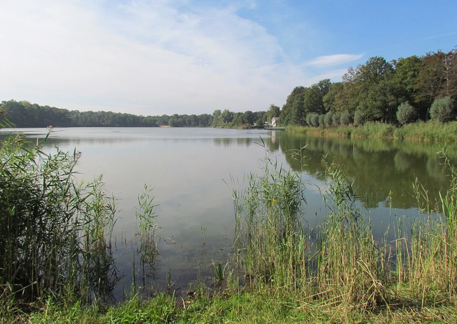 An image depicting the trail Ijzeren Man via Vijmense Weg, Drongelens Pad and Helvoirtse Weg and its surrounding area.