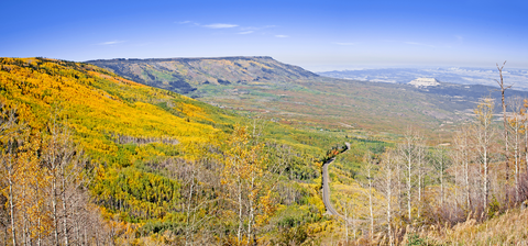An image depicting the trail Scotland Trail and its surrounding area.