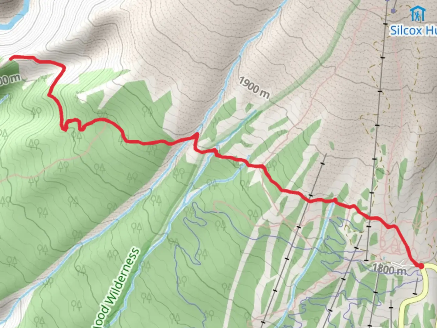 An image depicting the trail Mt Hood Timberline and PCT and its surrounding area.