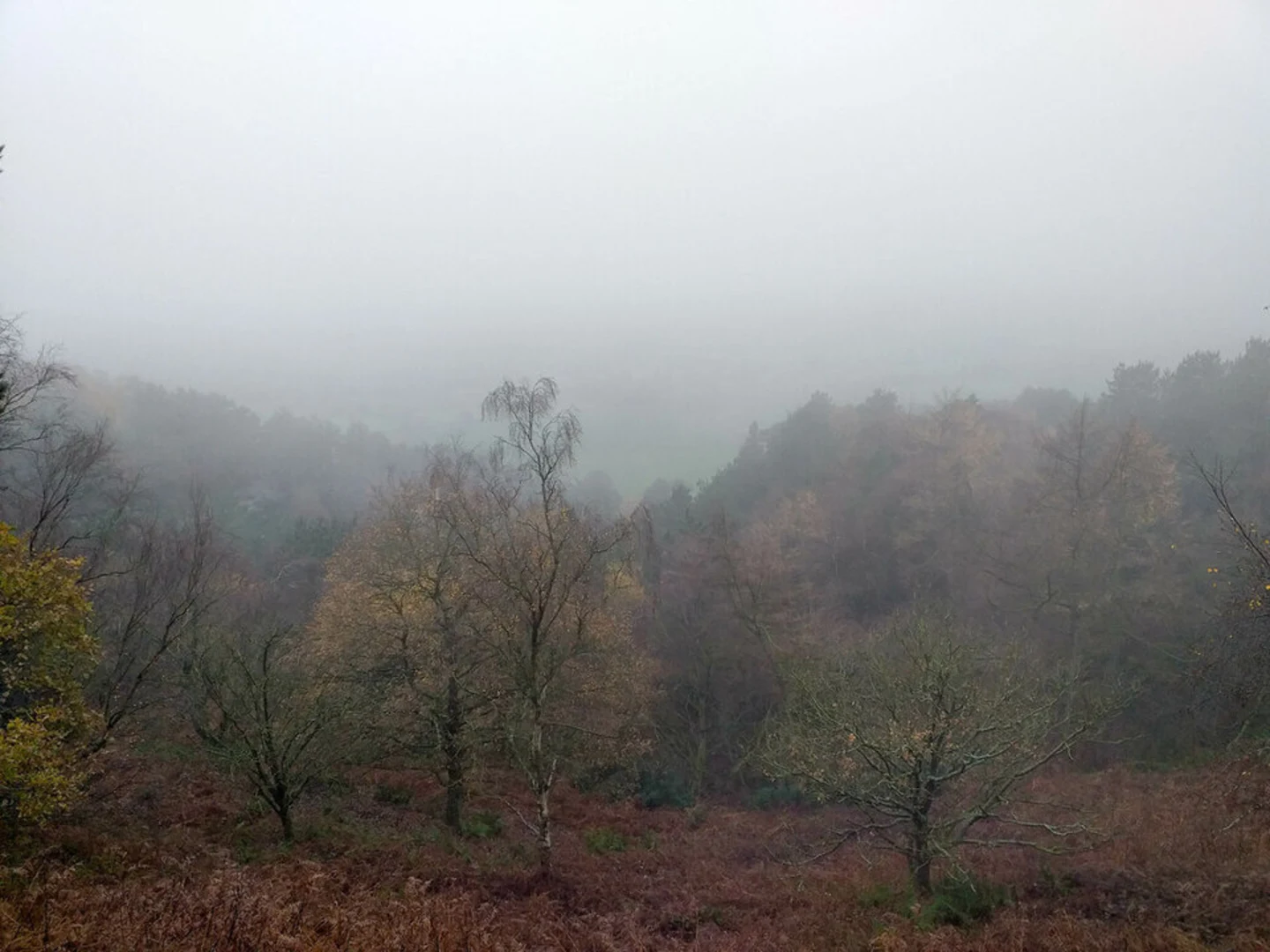 An image depicting the trail Bickerton Hill and Maiden Castle Walk and its surrounding area.