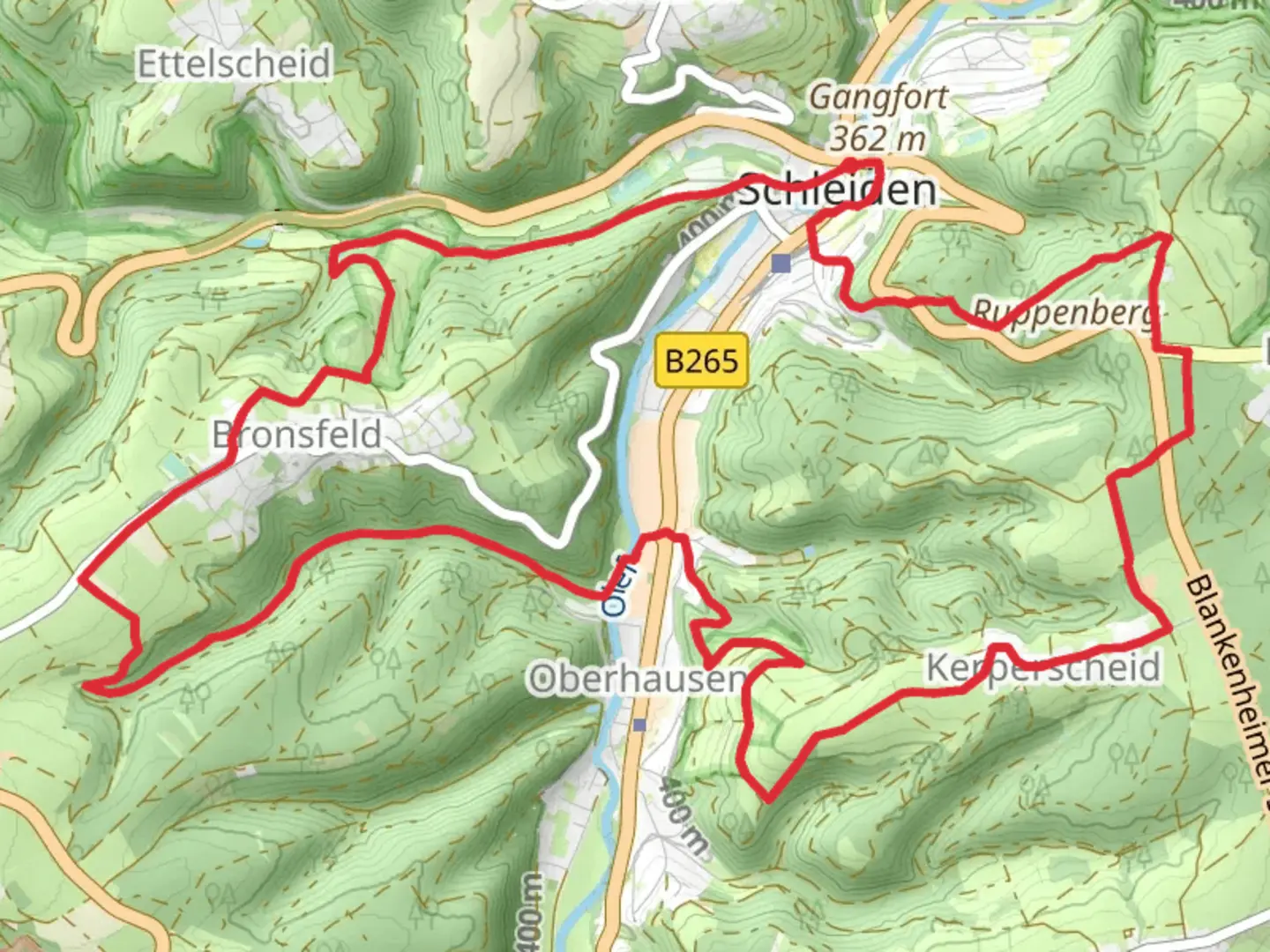 An image depicting the trail Schleiden and Wiesgen Loop via Olef and its surrounding area.