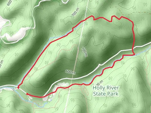 Laurel Fork and Reverie Trail