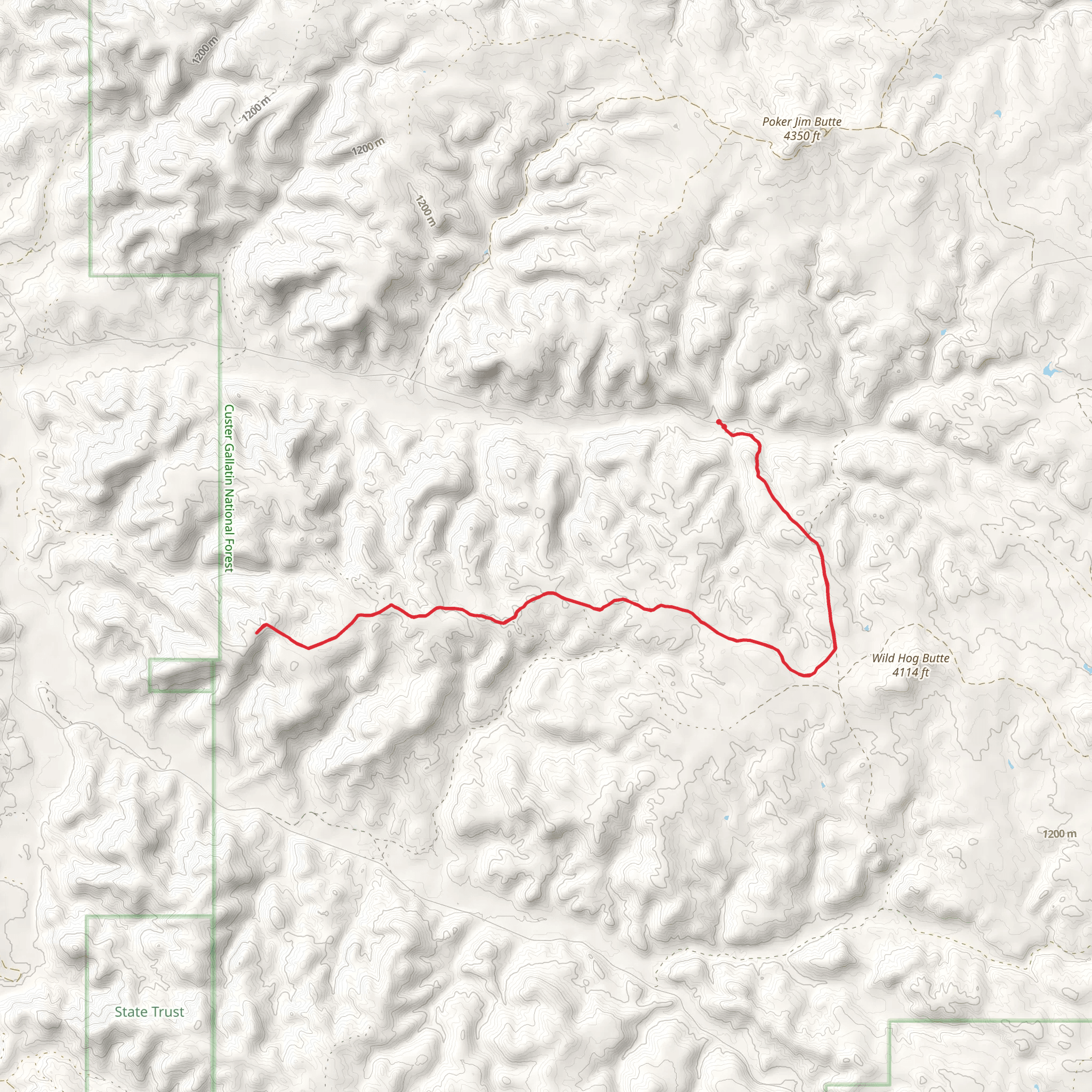 Brewster Divide Trail via Wild Hog Butte Trail mobile static map