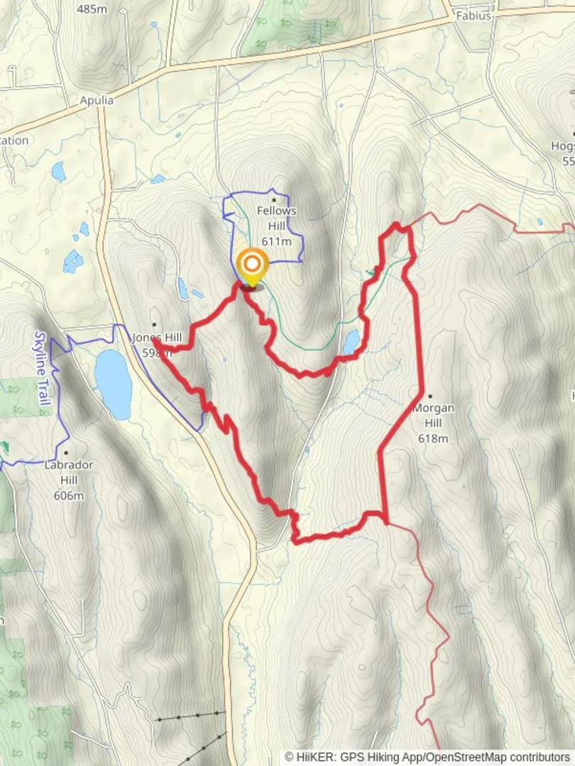 An image depicting the trail Morgan Hill and Shackham Pond Loop and its surrounding area.