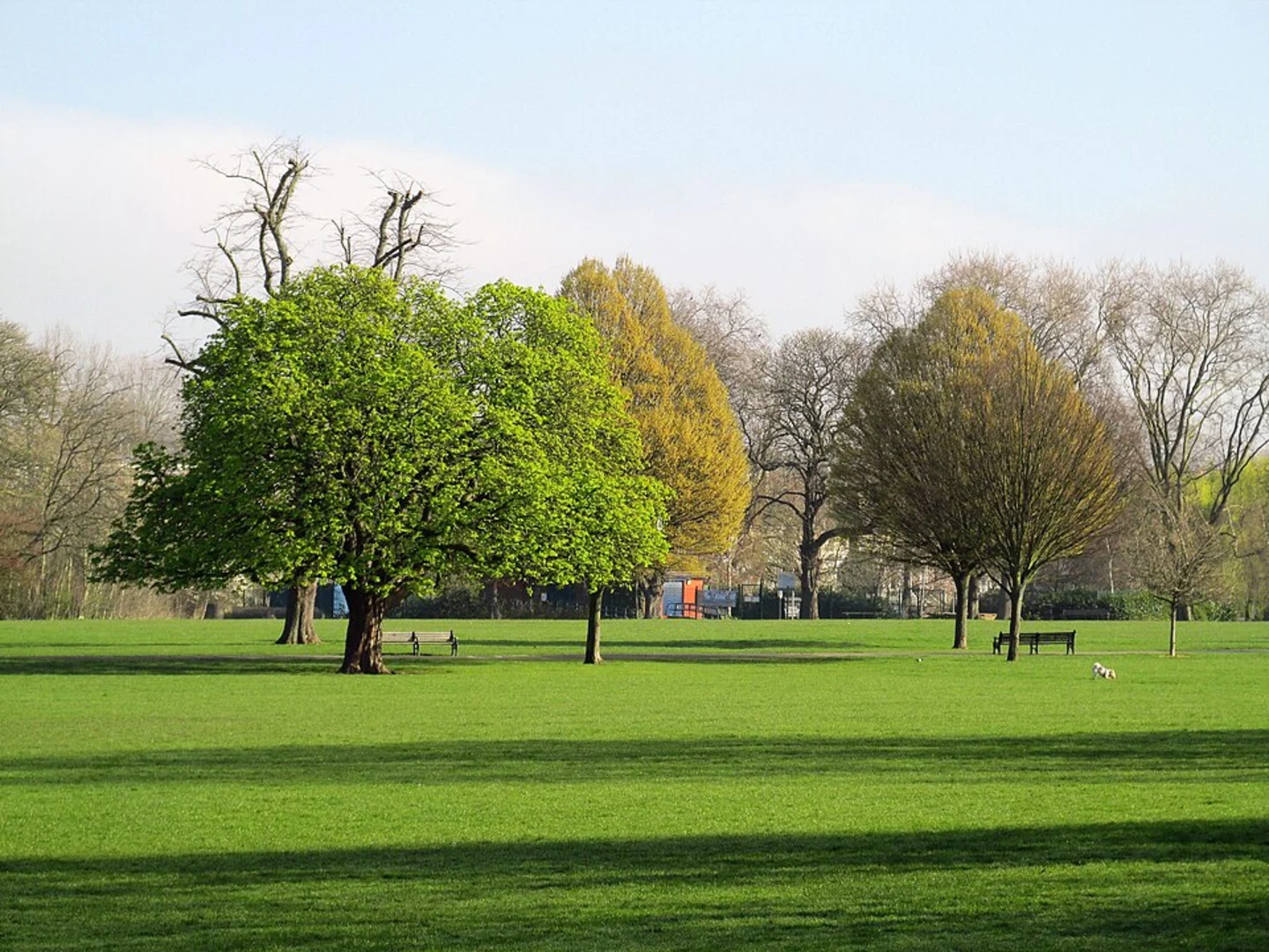 An image depicting the trail Stoke Newington to King's Cross Walk and its surrounding area.
