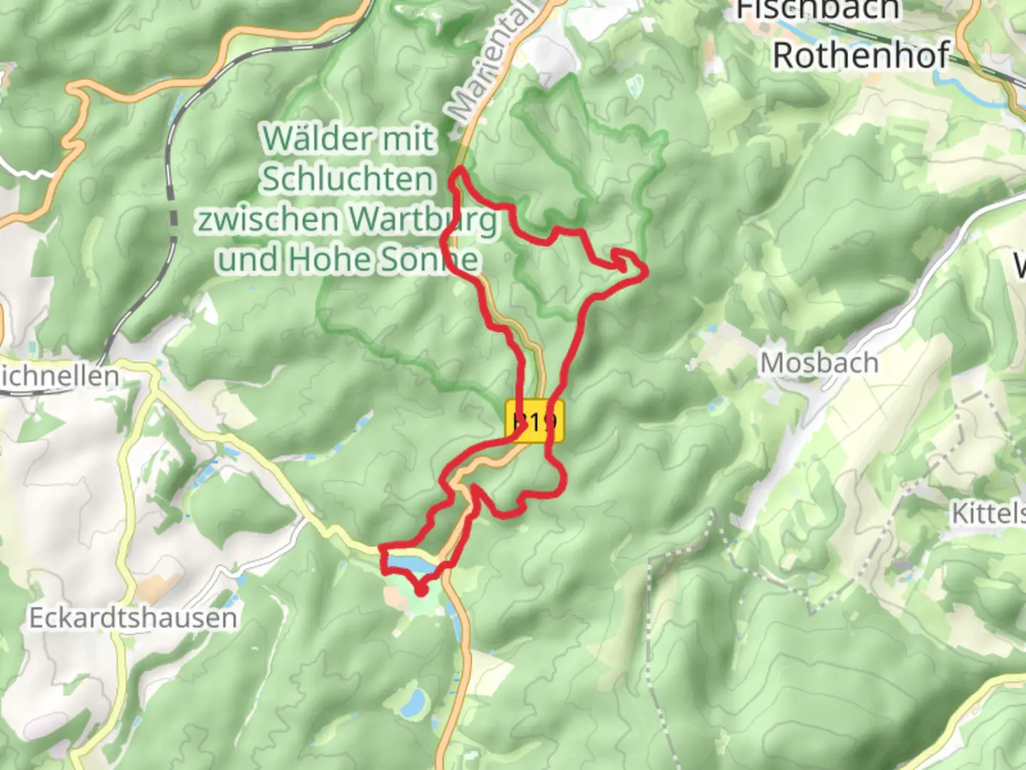 An image depicting the trail Wilhelmsthaler See via Urwaldpfad Eisenach and its surrounding area.