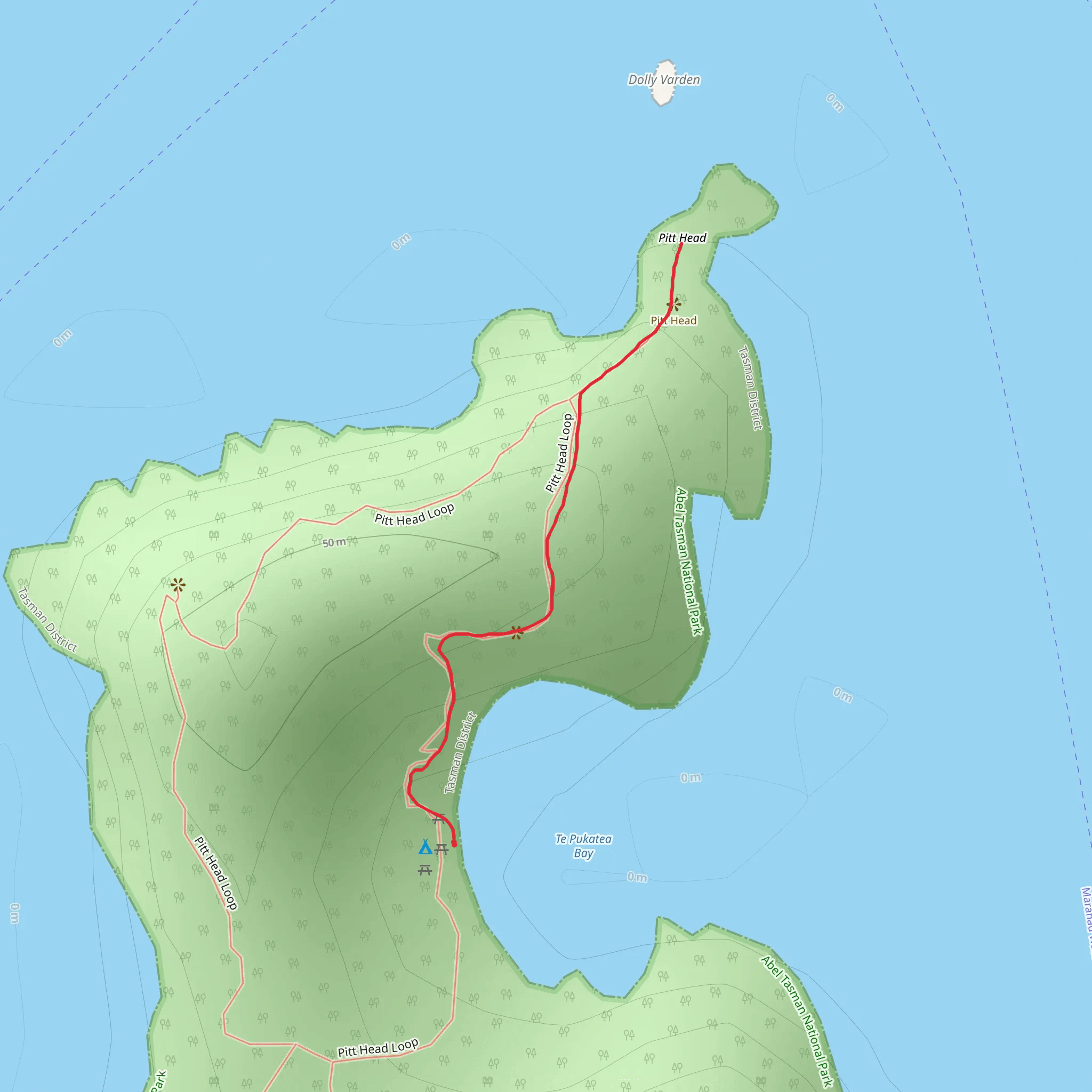 Pitt Head Lookout via Te Pukatea Track mobile static map