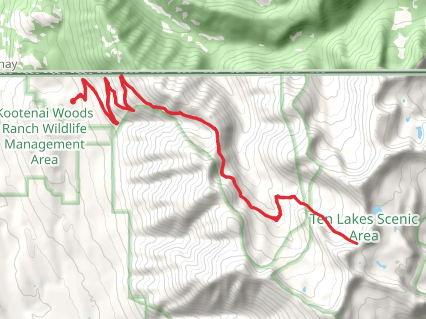 An image depicting the trail Blacktail Trail via Pacific Northwest Trail and its surrounding area.