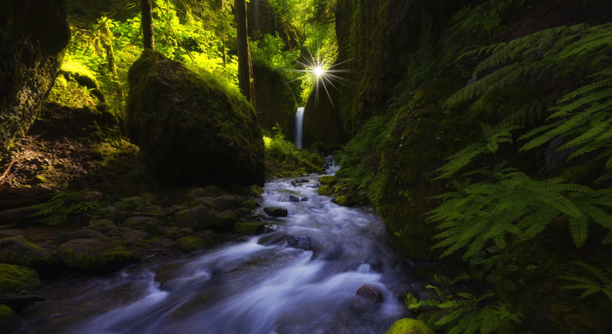 An image depicting the trail Grotto Falls Trail and its surrounding area.